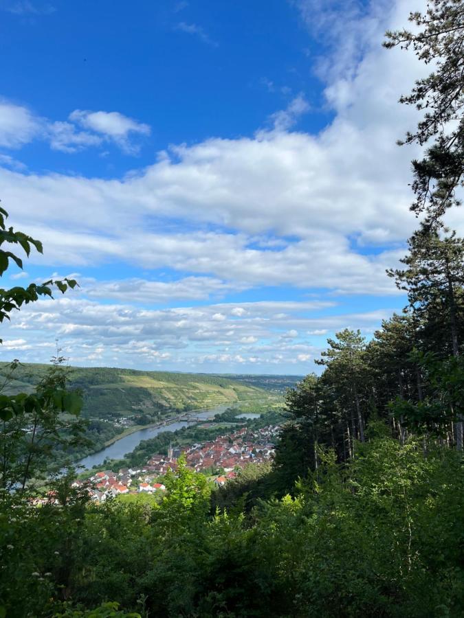Гостевой дом Maindrei - Schlafen Am Fluss